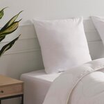 DODO Oreiller Allergo - MEDIUM. Coloris disponibles : Blanc