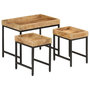 Voir la diapositive 1 : VIDAXL Tables basses gigognes 3pcs bois de manguier massif brut et fer