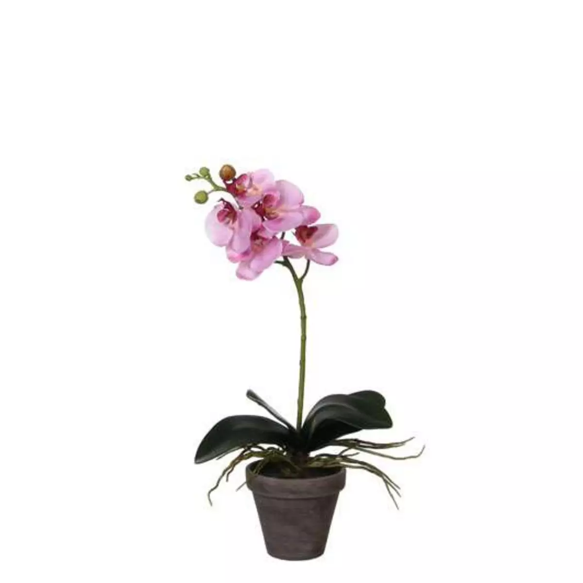 Orchidée artificielle PHALAENOPSIS