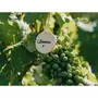 Smartbox Adoption de parcelles de vignes de 4 domaines bio avec visites et livraison de 4 coffrets personnalisés - Coffret Cadeau Gastronomie