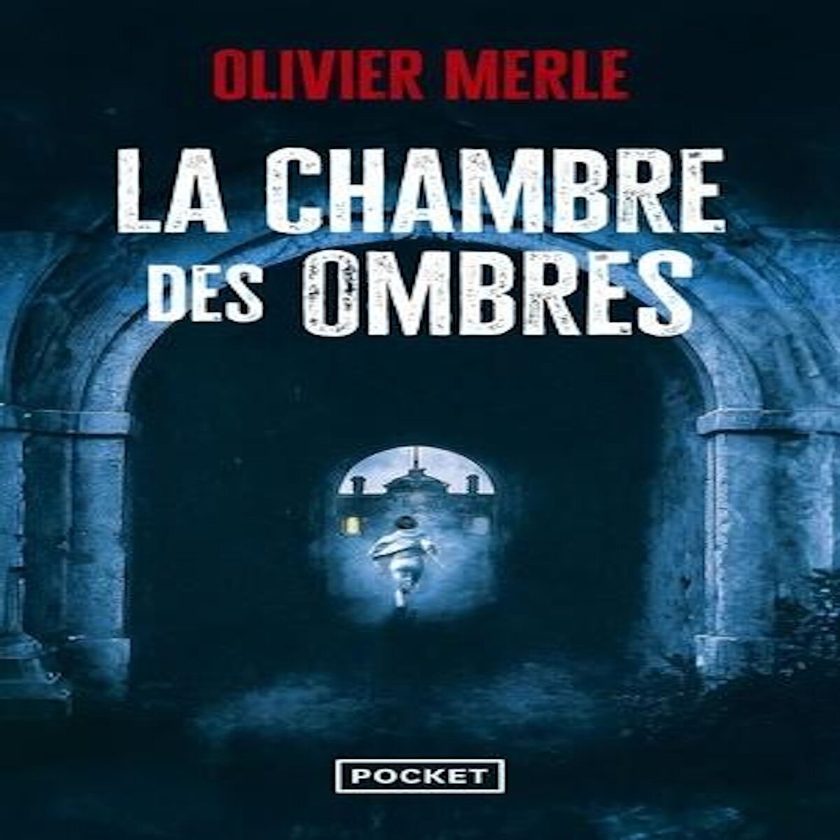 LA CHAMBRE DES OMBRES, Merle Olivier