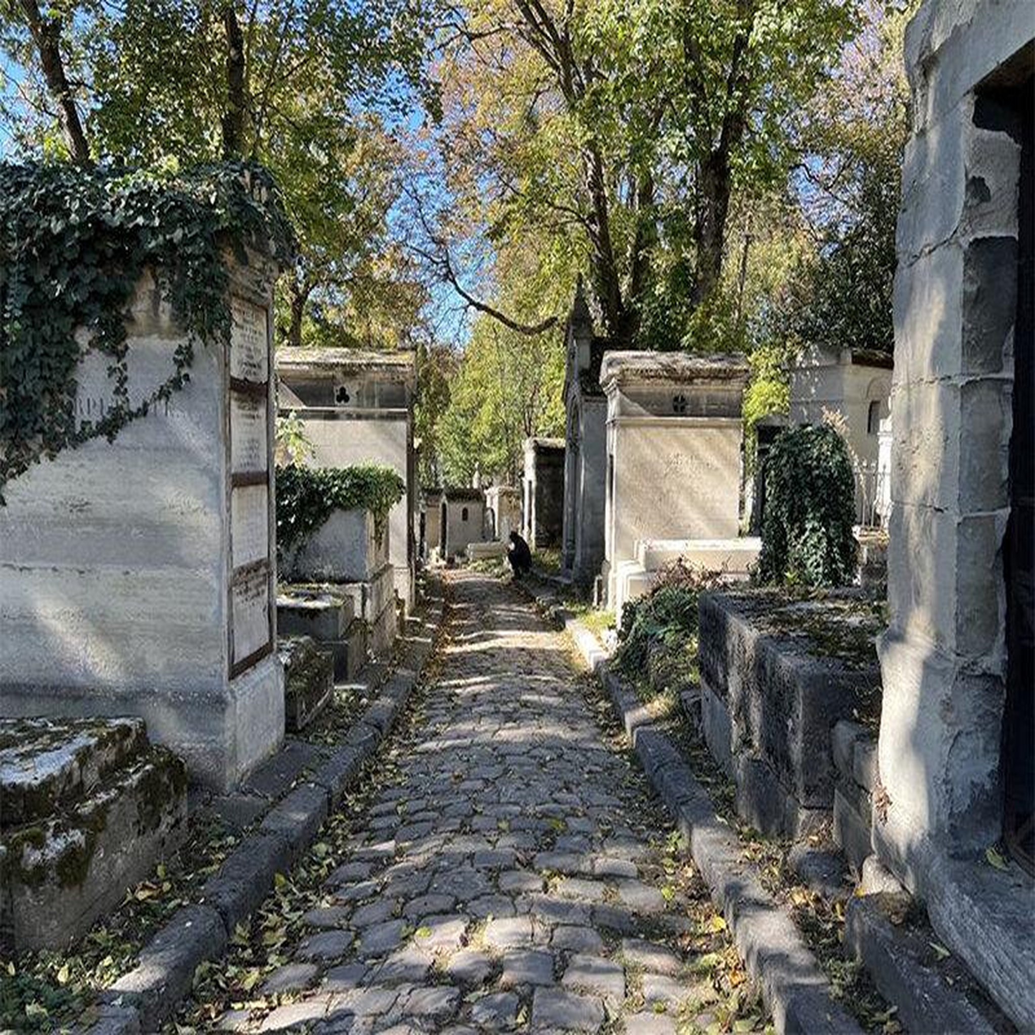 Voir la diapositive 3 : Smartbox Visite guidée du cimetière du père lachaise pour 2 personnes à paris - coffret cadeau sport & aventure