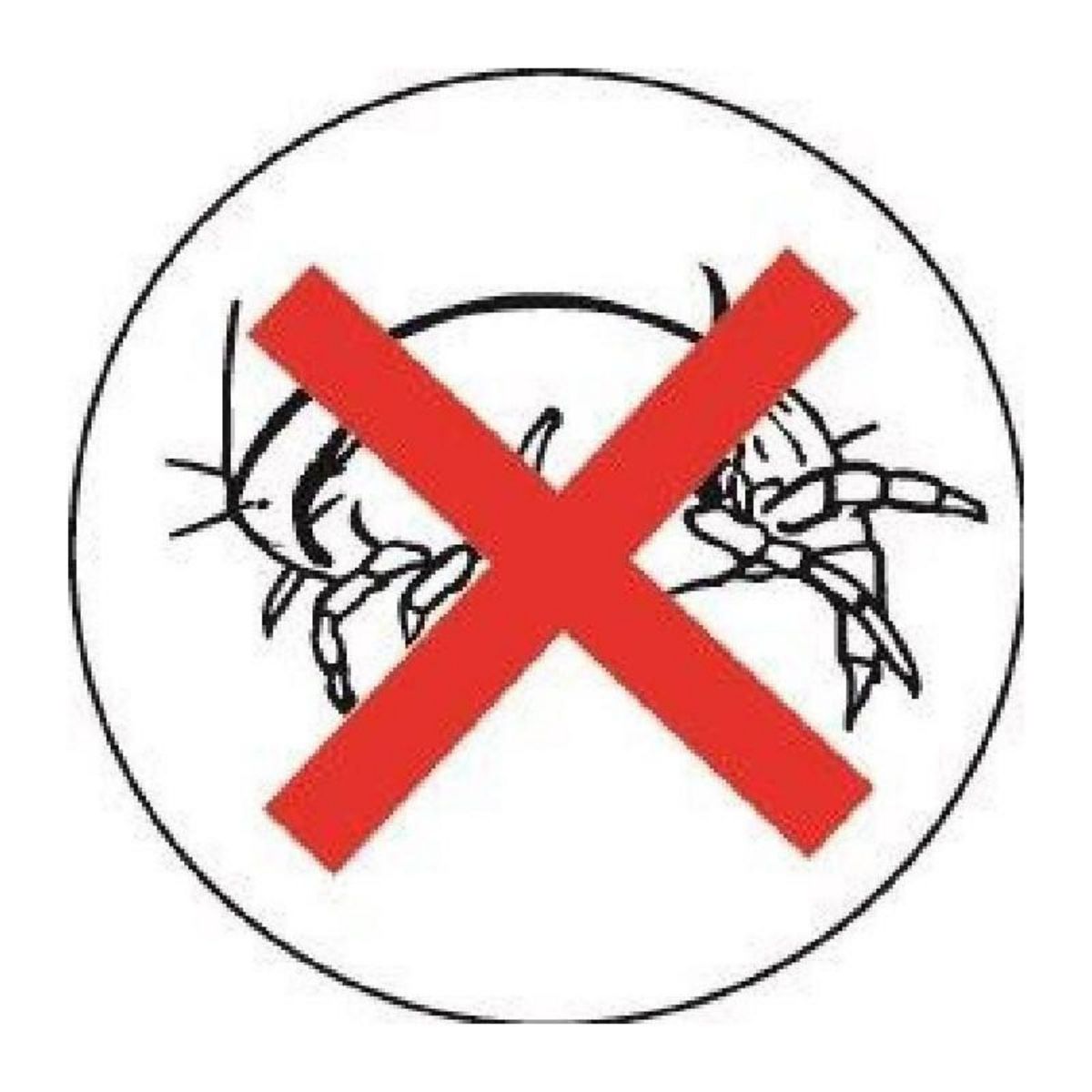 DODO DODO Couette temperee 350gr/m2 BELLE NUIT 240x260cm