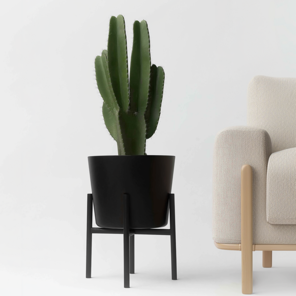 PLANT IN A BOX Euphorbe ingens - Euphorbia ingens - Hauteur 85-95cm - ⌀24cm