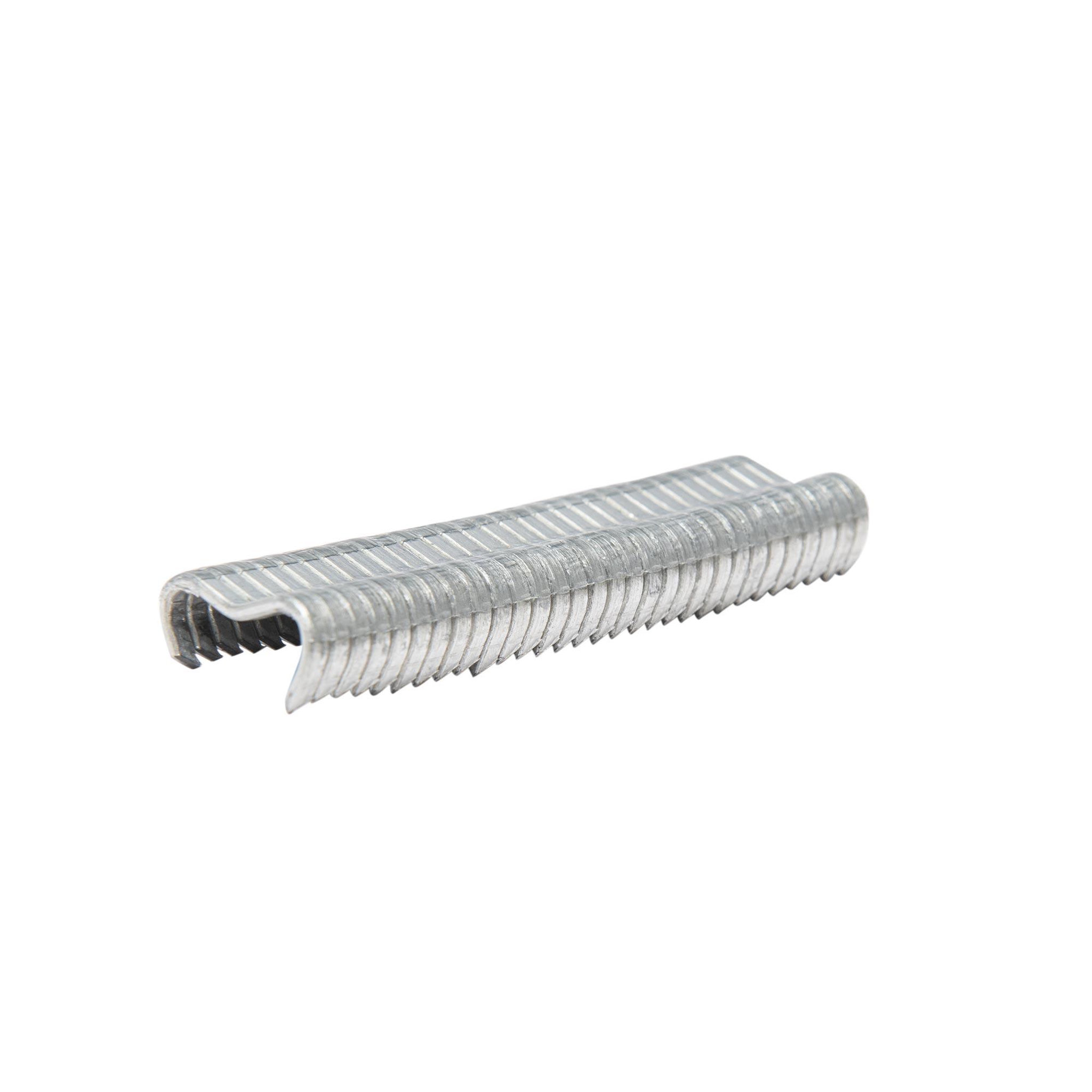 Voir la diapositive 3 : WERKAPRO Agrafes galvanisés  600pcs  werka pro