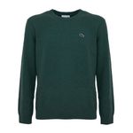 Lacoste Pull  Homme Lacoste Jardin. Coloris disponibles : Vert