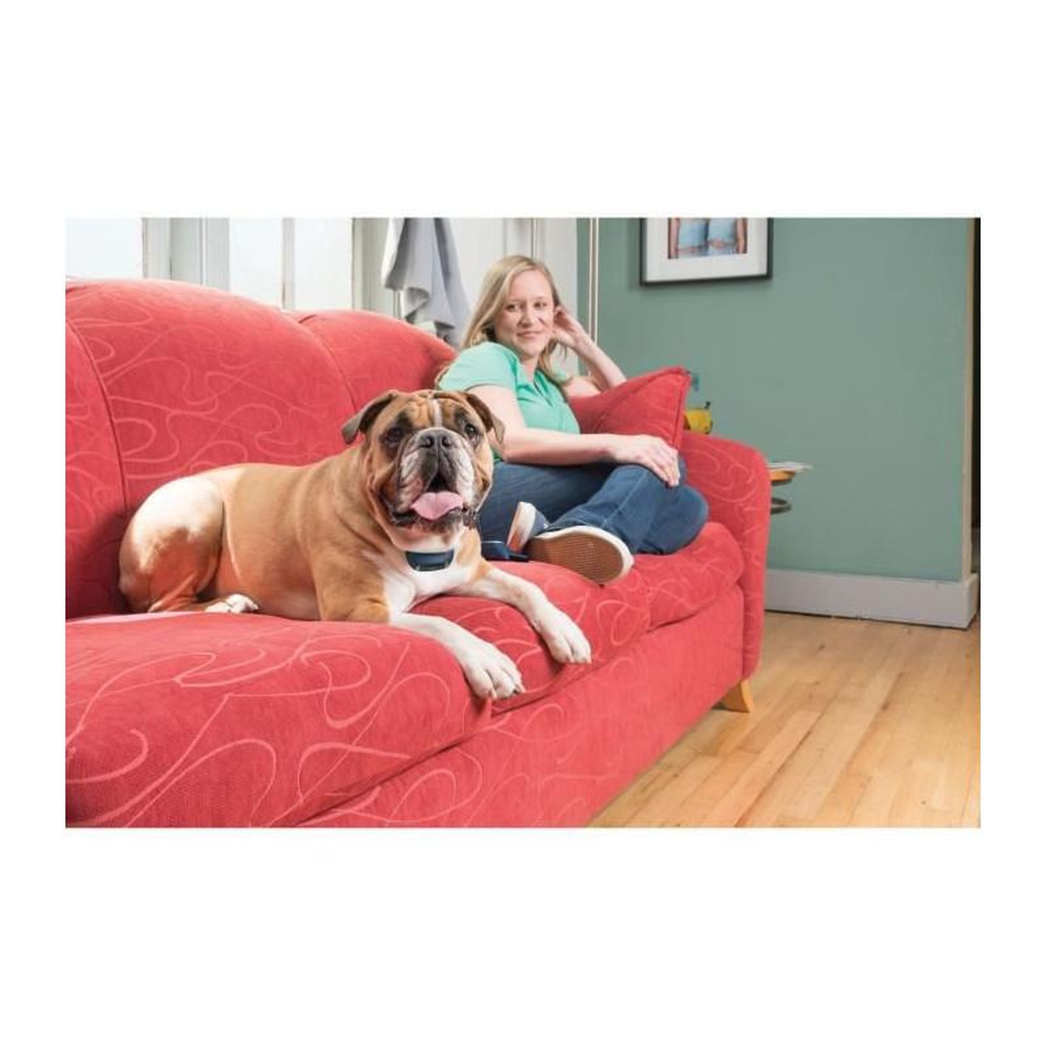 Voir la diapositive 3 : PETSAFE Systeme daide a leducation 600 m