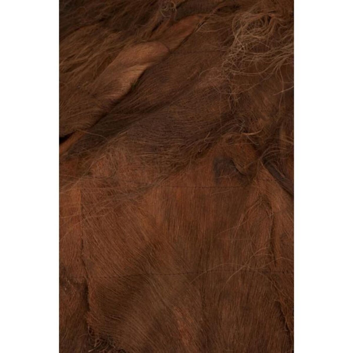 Paris Prix Parasol en Bois  Cocotier  150cm Marron