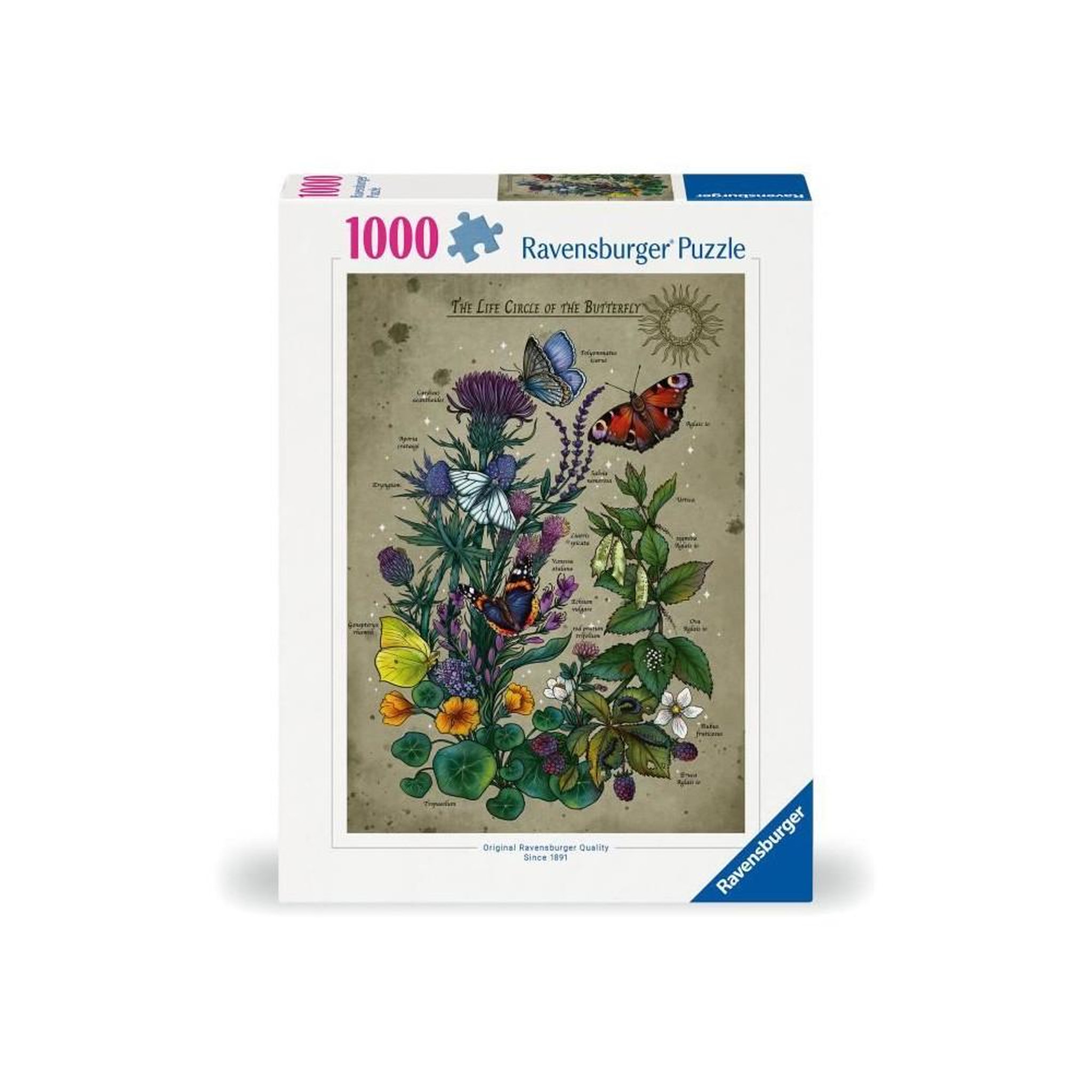 RAVENSBURGER Puzzle 1000 pièces - Le cercle de vie du papillon - Multicolore - Dès 14 ans - Ravensburger
