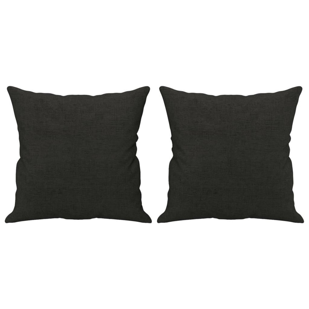 VIDAXL Coussins decoratifs lot de 2 Noir 40x40 cm Tissu