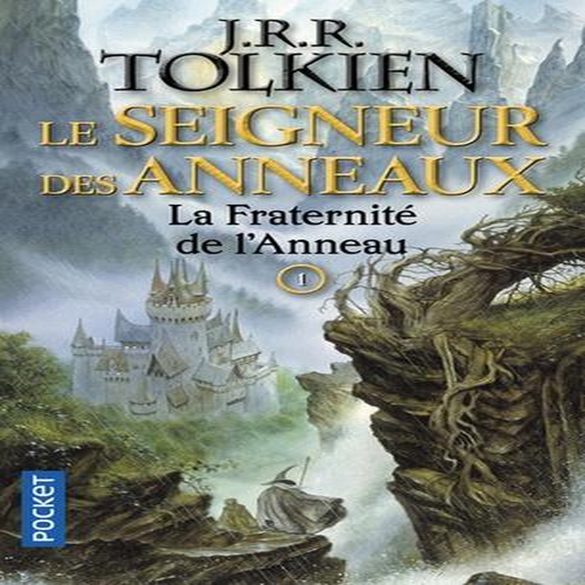 LE SEIGNEUR DES ANNEAUX TOME 1 : LA FRATERNITE DE L'ANNEAU, Tolkien John Ronald Reuel