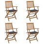 Voir la diapositive 1 : VIDAXL Chaises pliables de jardin lot de 4 avec coussins Bois d'acacia