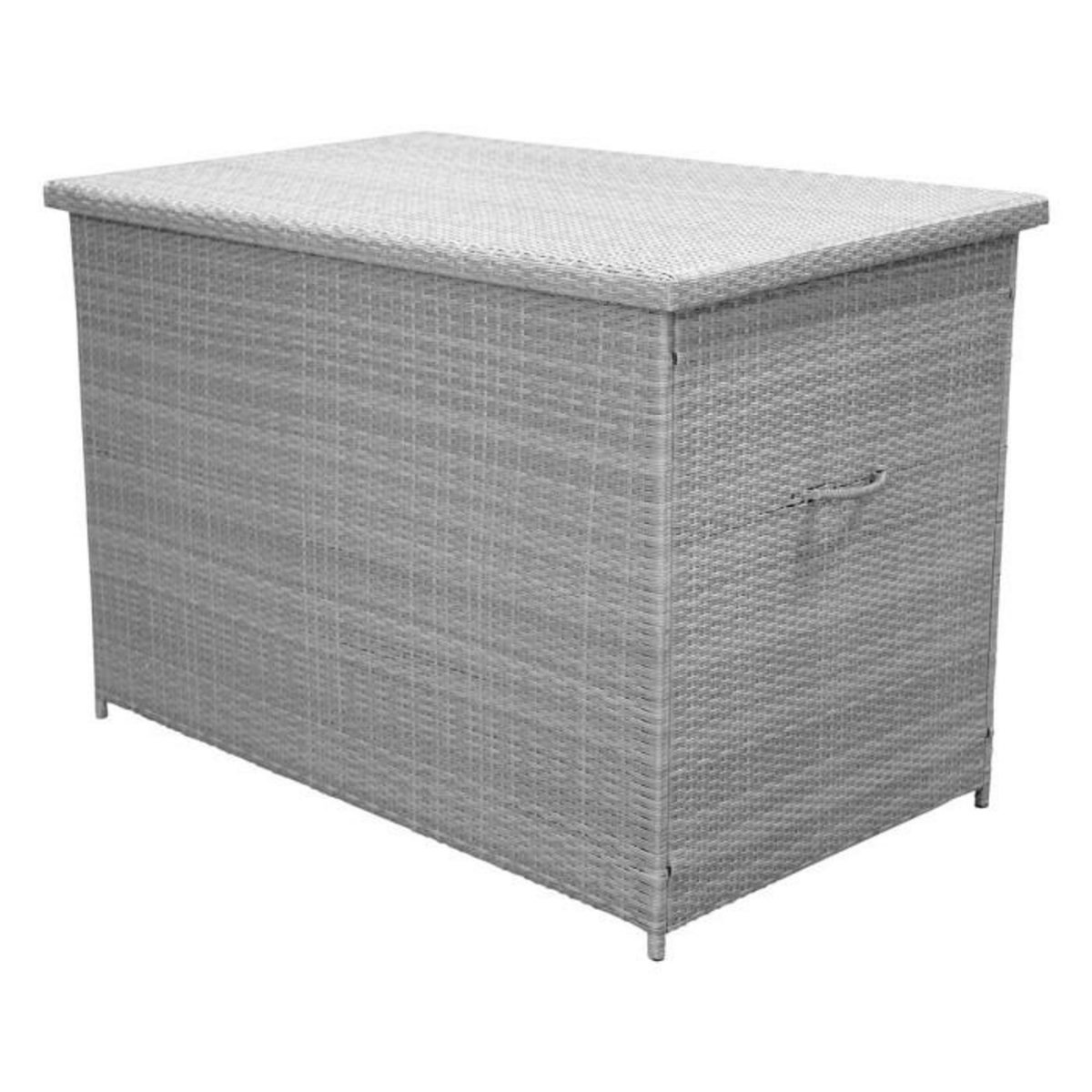 Paris Prix Coffre de Jardin  Amazona  150cm Gris