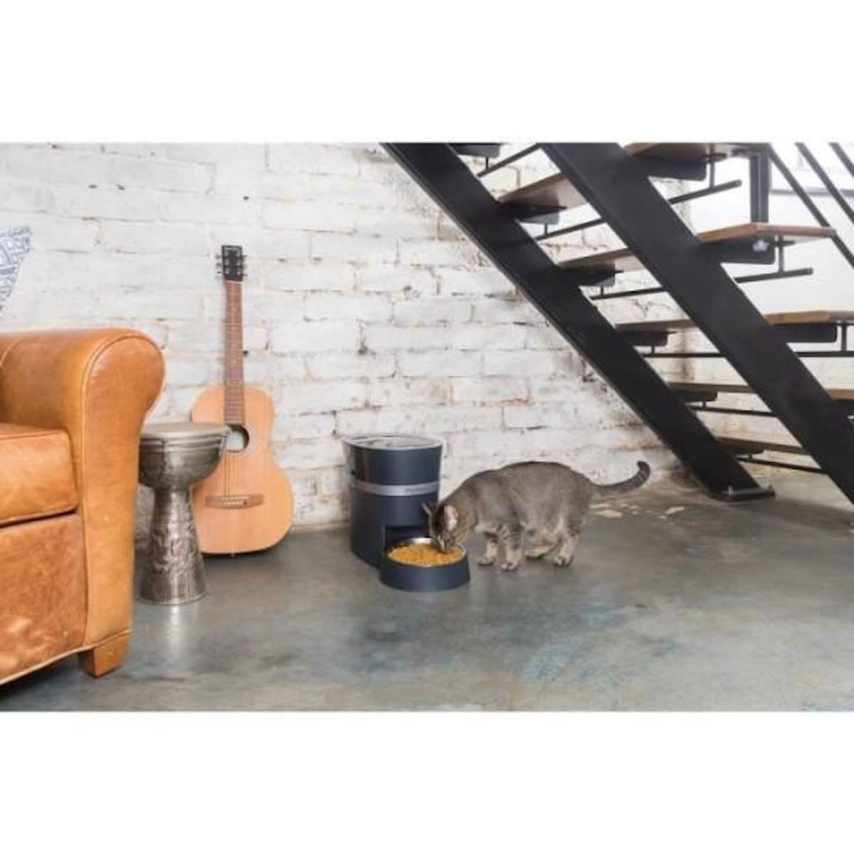 PETSAFE PetSafe - Distributeur de Croquettes Automatique Connecté Smart Feed pour Chien/Chat, avec minuterie, bol en acier inoxydable,