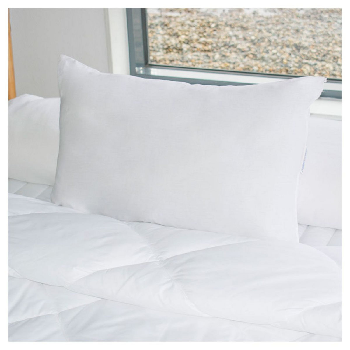 BLEU CALIN Oreiller confort moelleux en polyester enrichie aloé véra RELAXANT