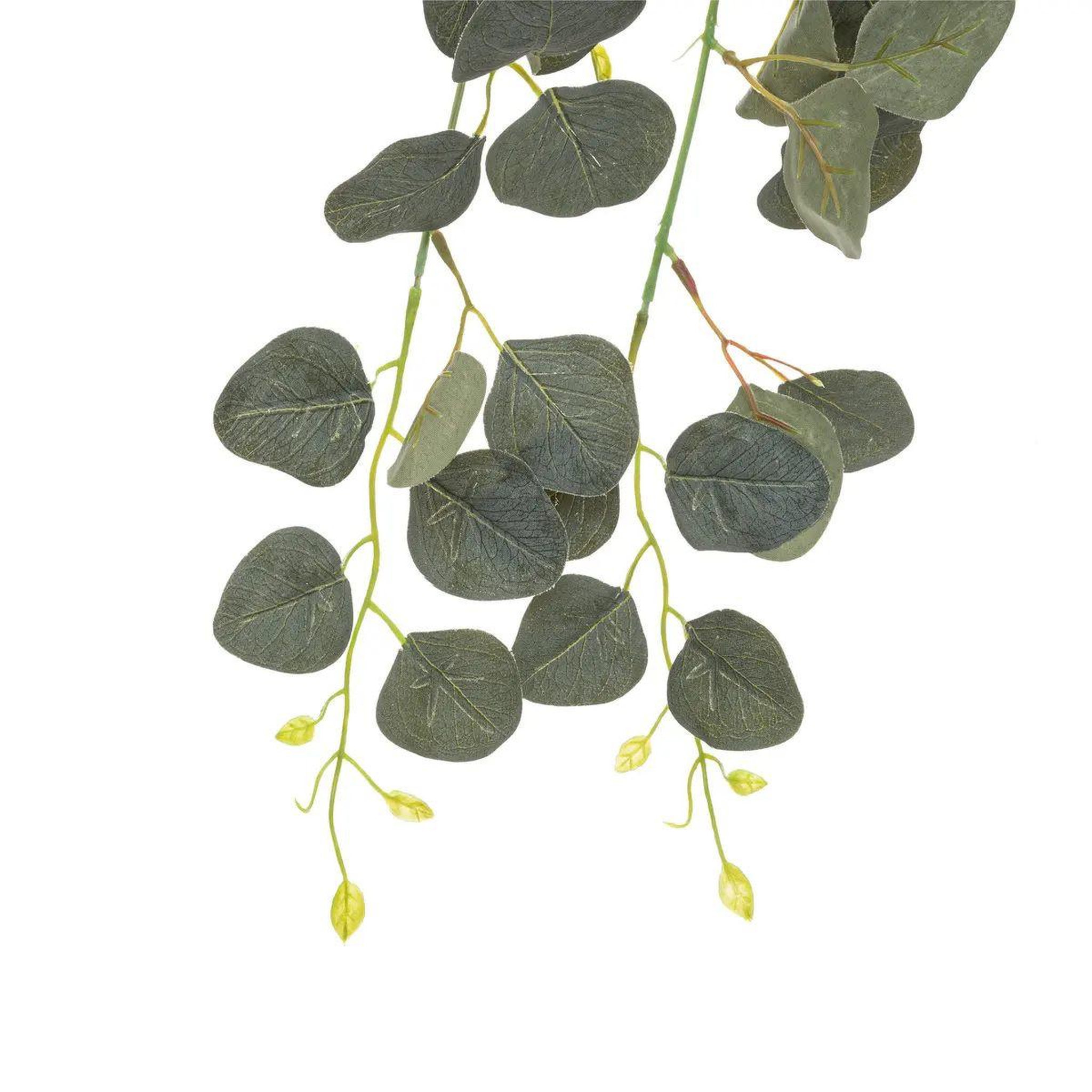 Voir la diapositive 2 : ATMOSPHERA Tige artificielle eucalyptus  drew  80cm vert