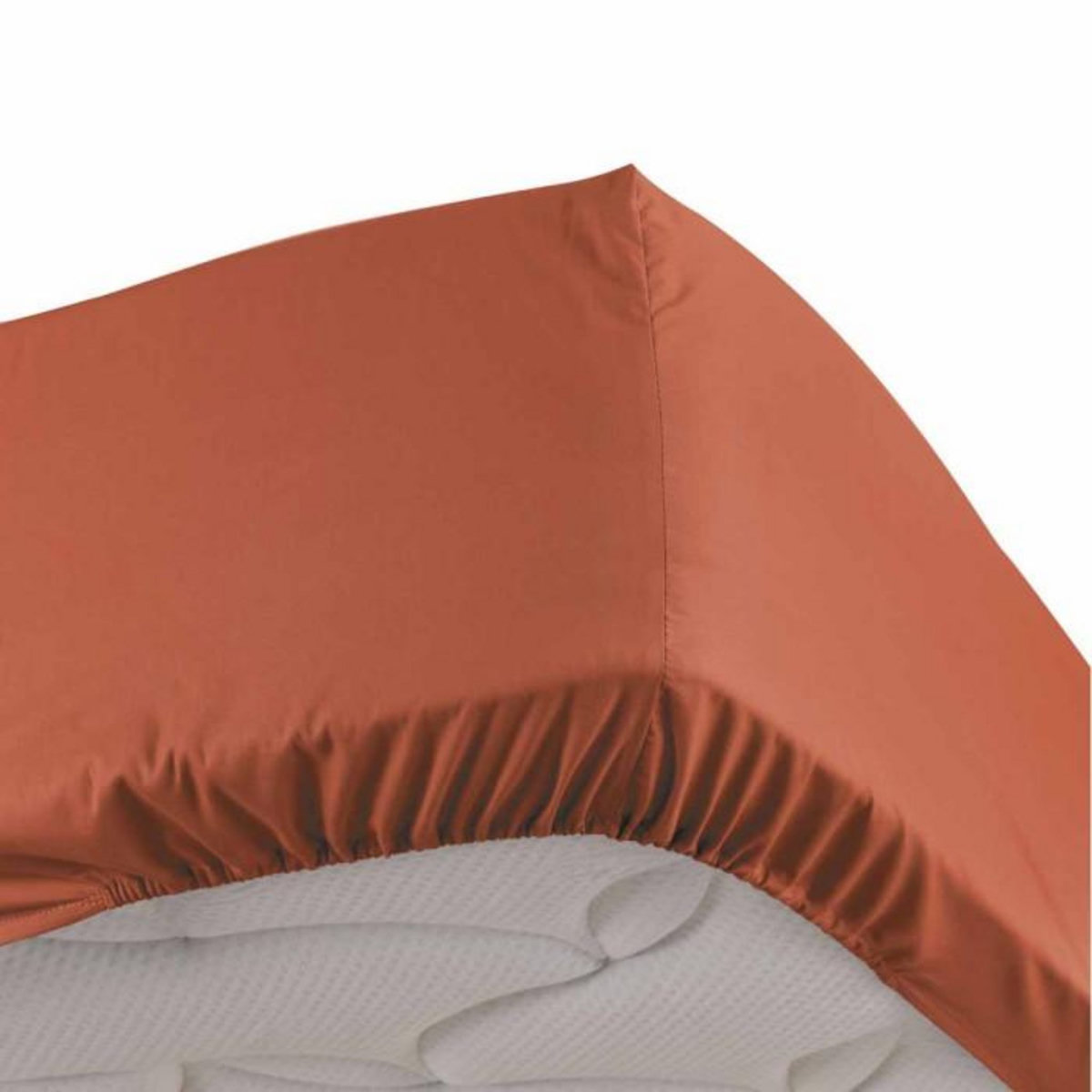 Paris Prix Drap Housse  Percaline  140x190cm Terracotta