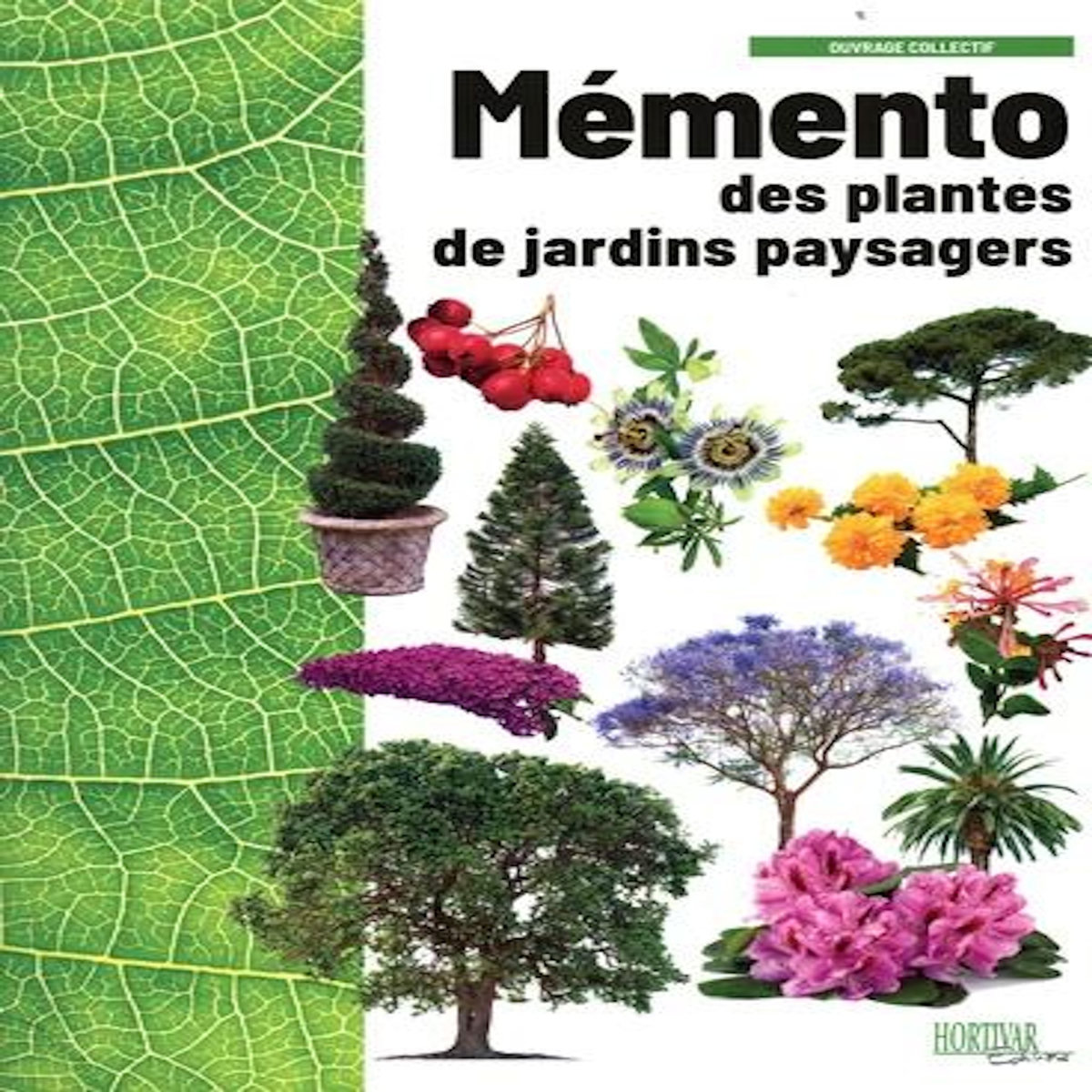 MEMENTO DES PLANTES DE JARDINS PAYSAGERS. 4E EDITION, Machefer Alain