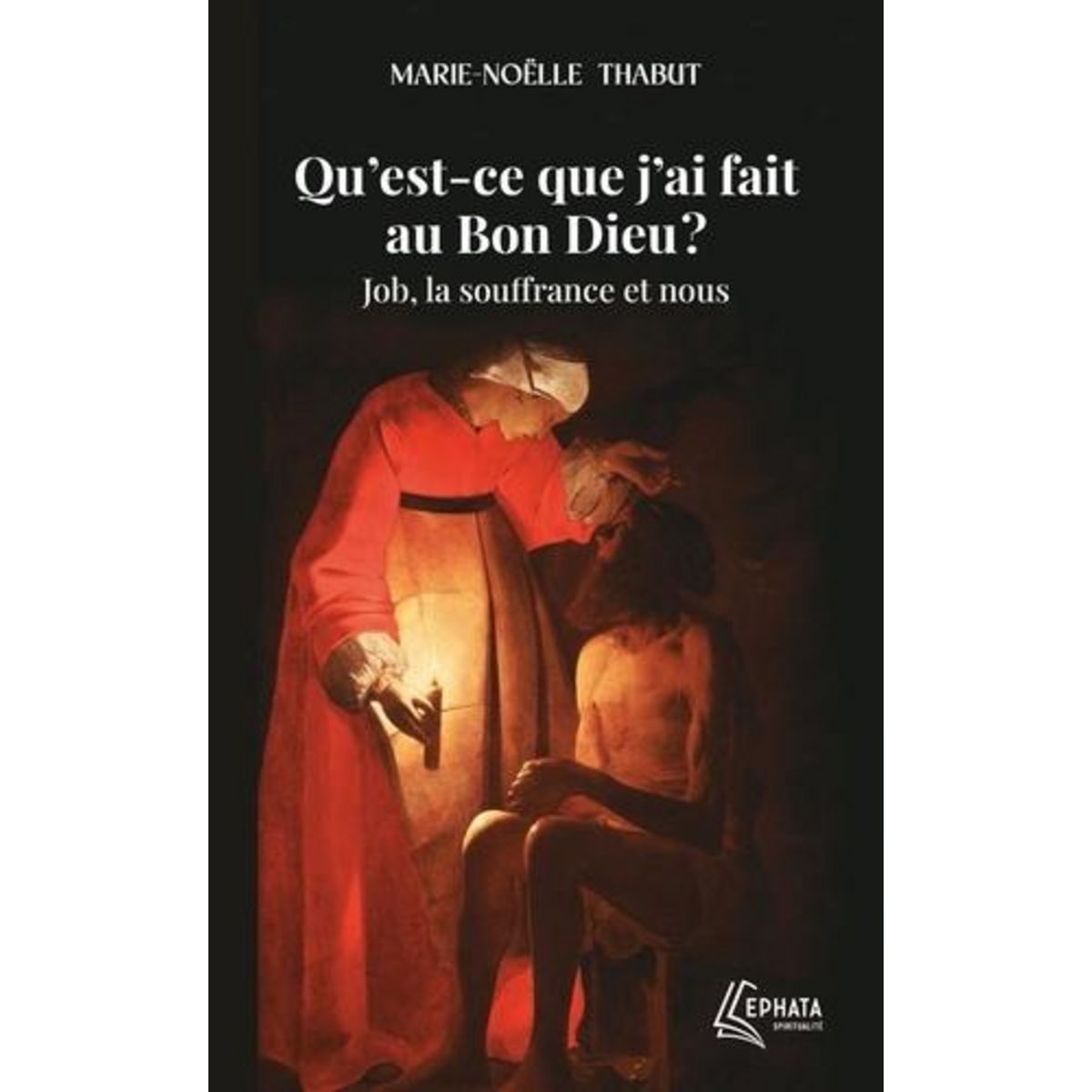 QU'EST-CE QUE J'AI FAIT AU BON DIEU ? JOB, LA SOUFFRANCE ET NOUS, Thabut Marie-Noëlle