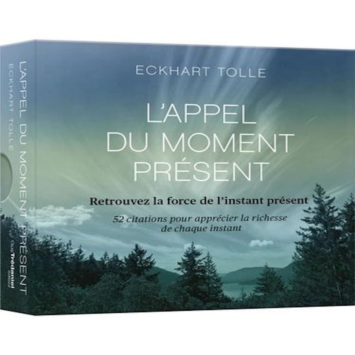 L'APPEL DU MOMENT PRESENT. RETROUVEZ LA FORCE DE L'INSTANT PRESENT, Tolle Eckhart