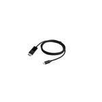 Erard Câble DisplayPort vers USB Type C Erard 2 m Noir
