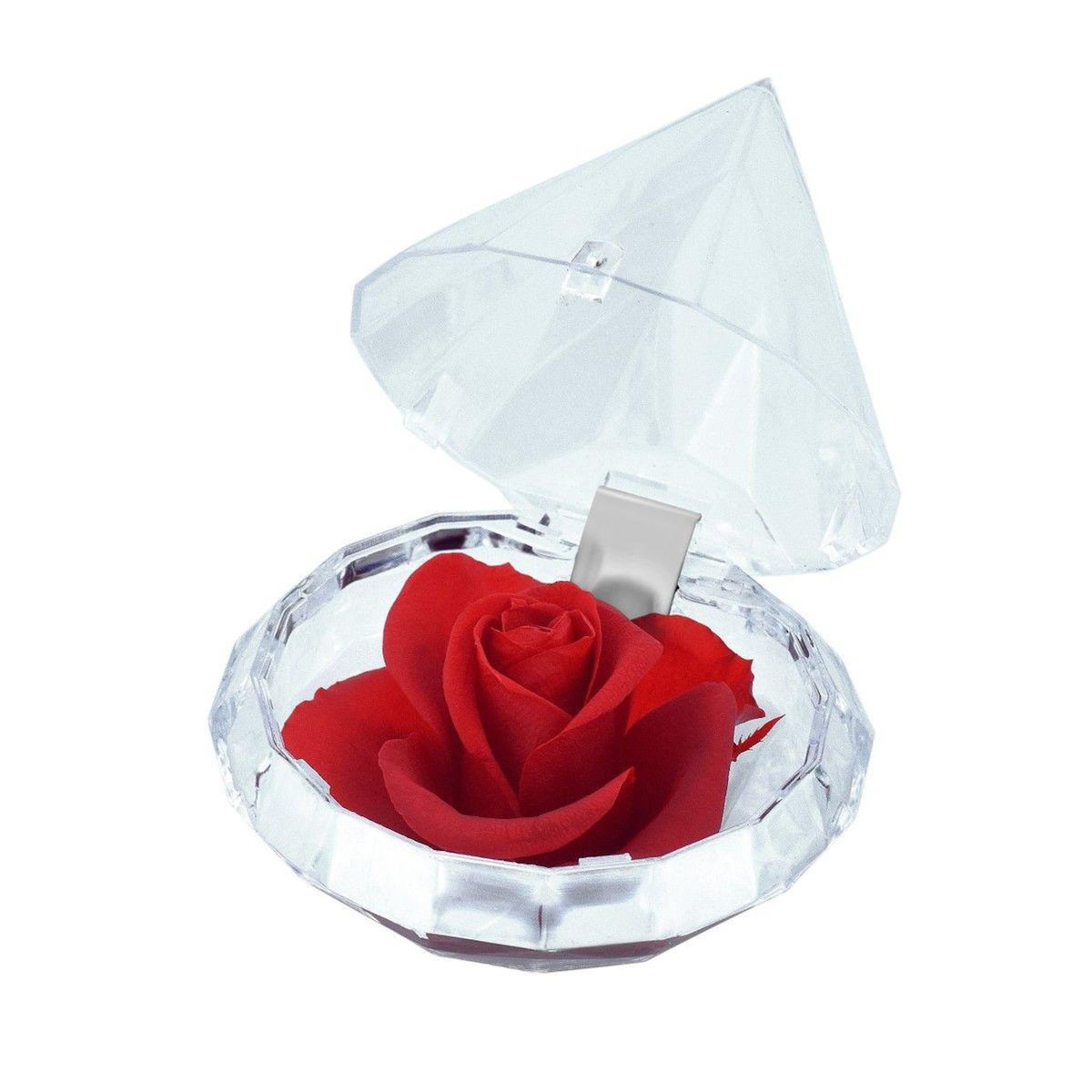 SC CRYSTAL Ecrin décoré d'une rose éternelle - stabilisée rouge