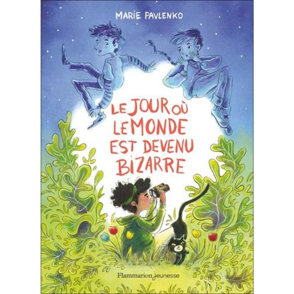 LE JOUR OU LE MONDE EST DEVENU BIZARRE, Pavlenko Marie