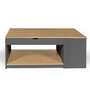 Voir la diapositive 3 : ID MARKET Table basse plateau relevable rectangulaire ELEA avec coffre bois gris et façon hêtre