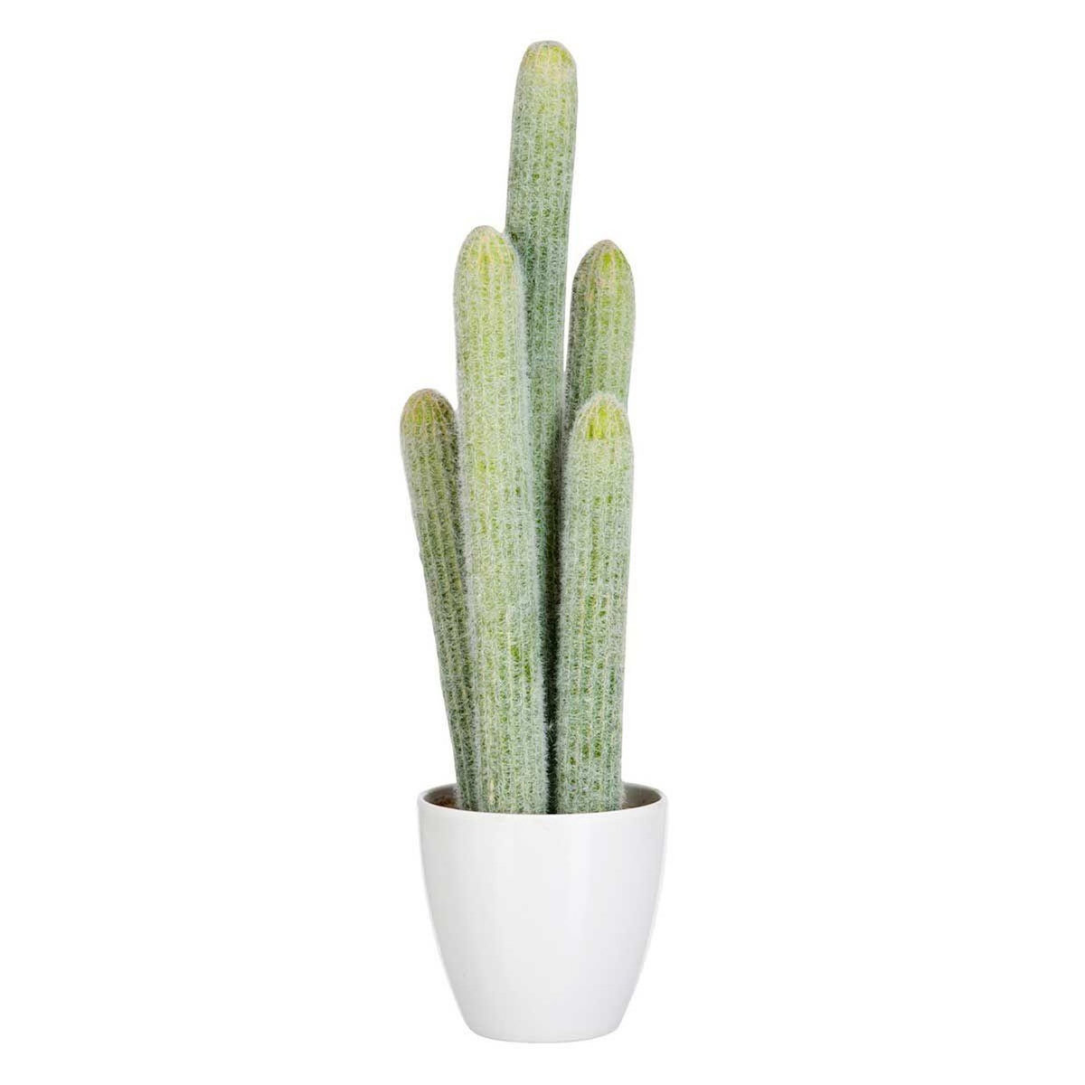 Paris Prix Plante Artificielle  Cactus 5 Parties  54cm Vert