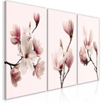 Paris Prix Tableau Imprimé  Spring Magnolias 3 Panneaux  60x120cm