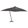 Voir la diapositive 1 : VIDAXL Parasol de jardin en porte-a-faux avec mat en bois anthracite
