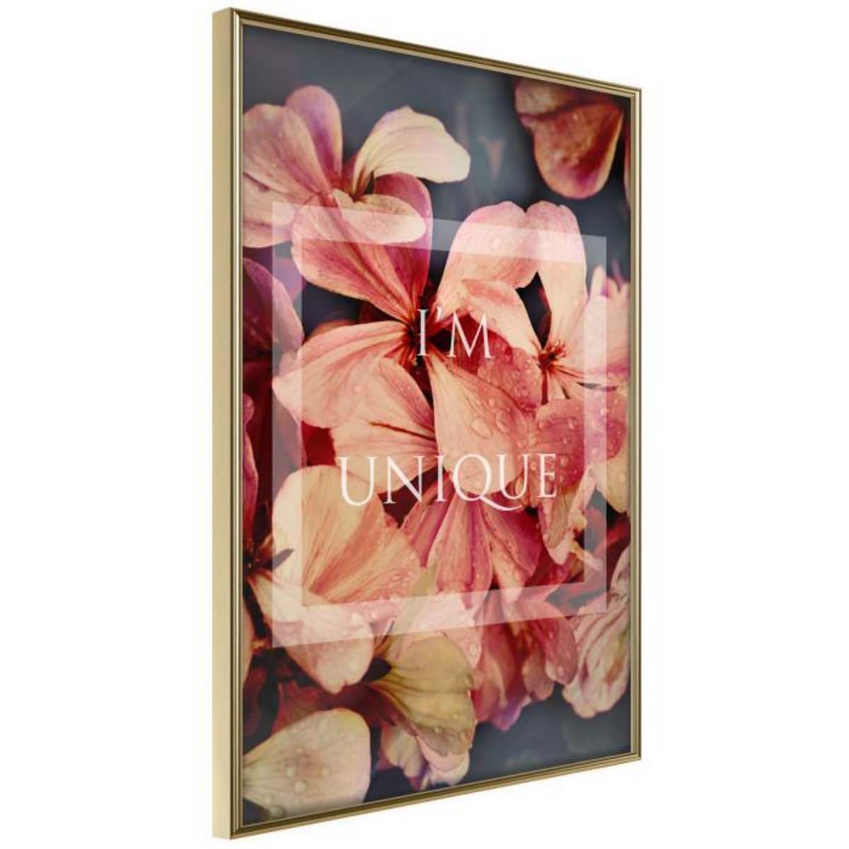 Paris Prix Affiche Murale Encadrée  Believe It