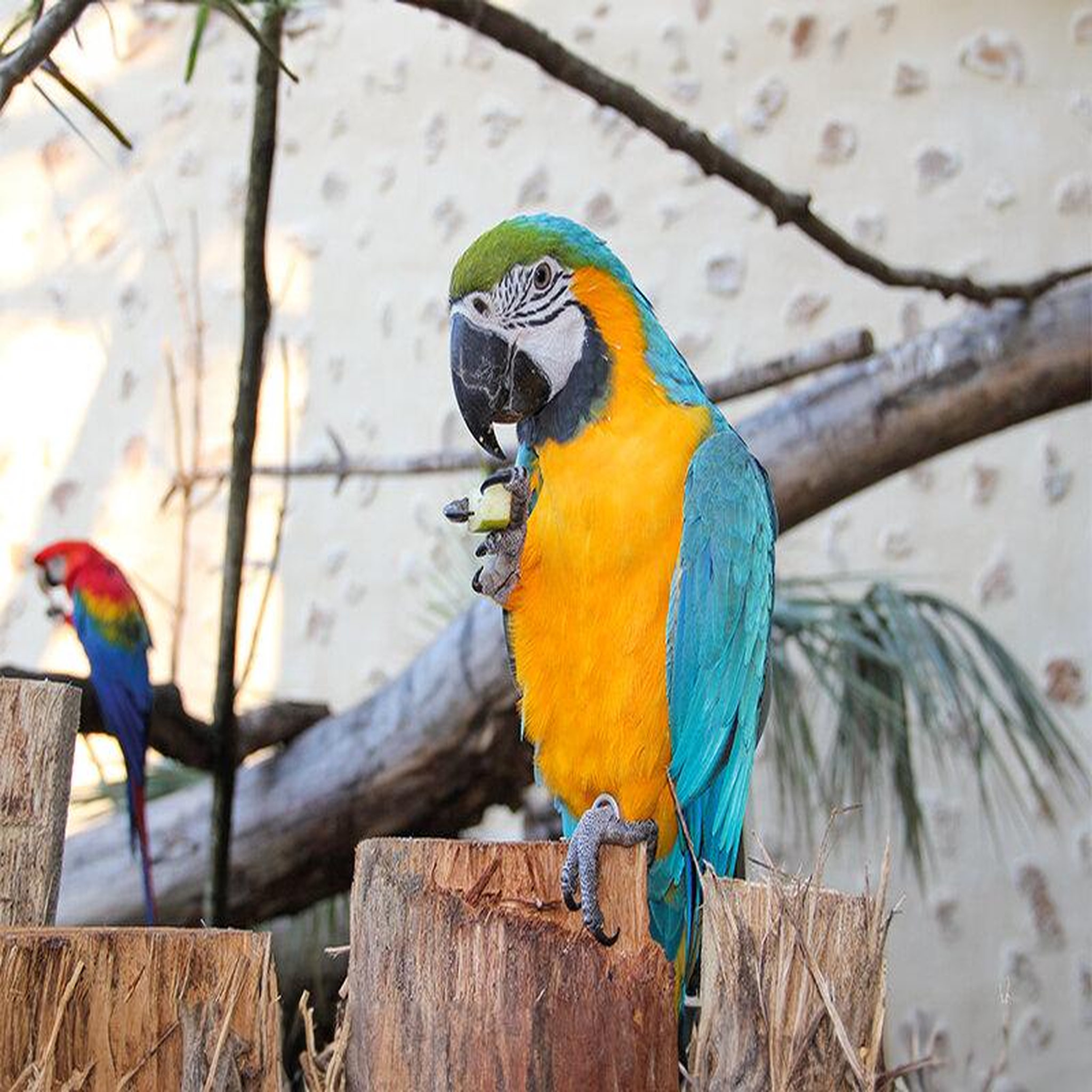 Voir la diapositive 6 : Smartbox Tanière Zoo Refuge : immersion avec les herbivores pour 2 personnes - Coffret Cadeau Multi-thèmes