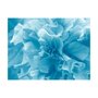 Voir la diapositive 2 : Paris Prix Papier Peint  Blue Azalea