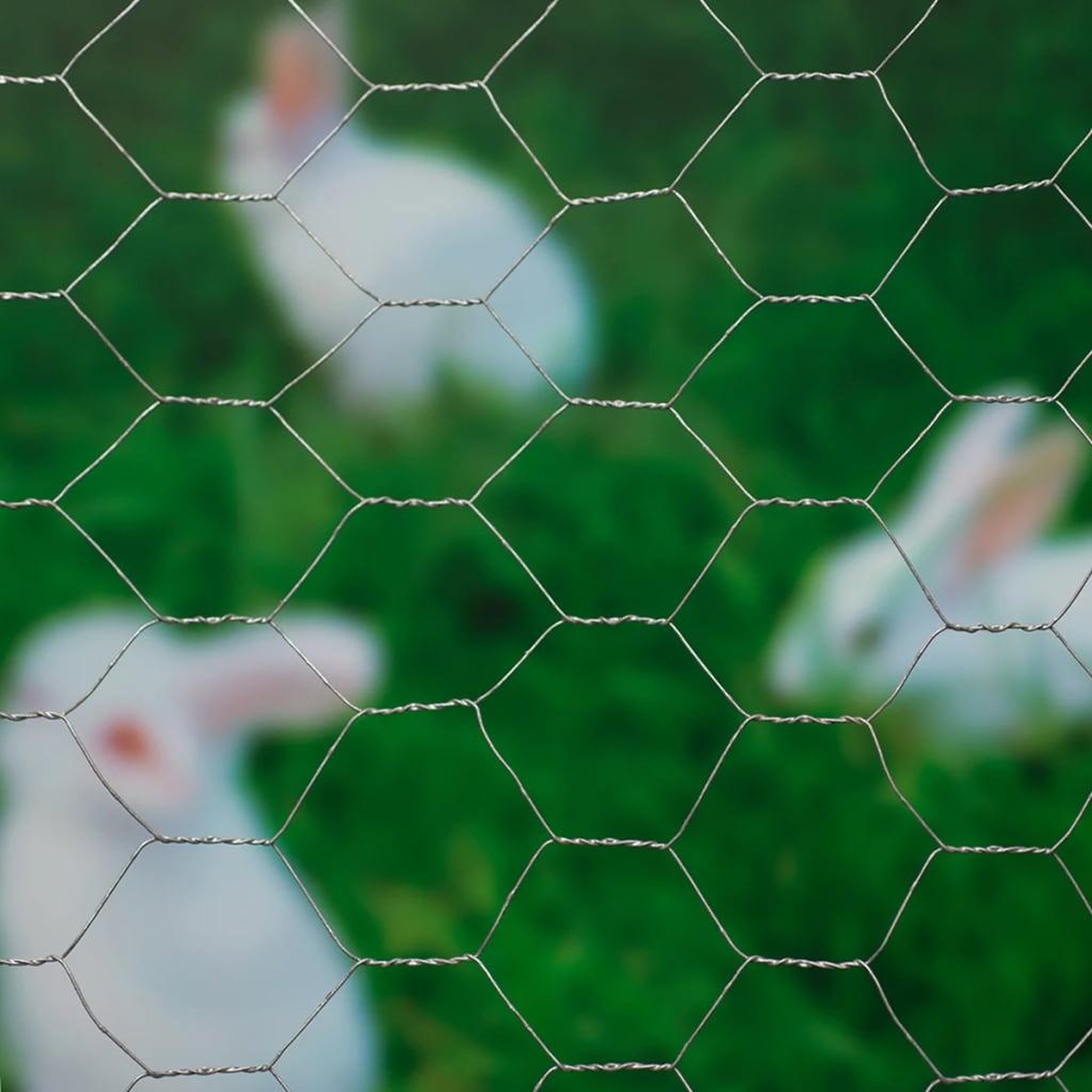 Voir la diapositive 2 : NATURE Nature Grillage metallique hexagonal 0,5x2,5 m 25 mm Acier galvanise