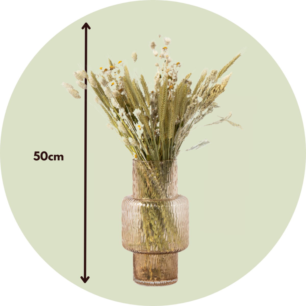 PLANT IN A BOX Fleurs séchées - Bouquet 'Loose Fit Helsinki'