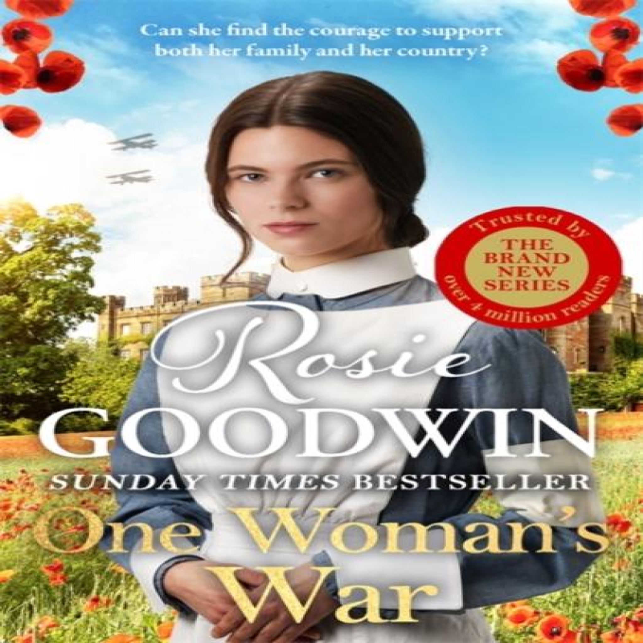 LIVRES One Woman's War : A CAPTIVATING AND HEARTWARMING READ IN THE BESTSELLING RAGS TO RICHES SERIES