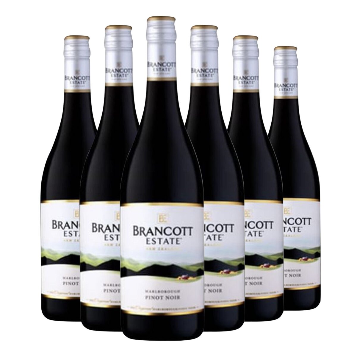 Lot de 6 bouteilles South Island Pinot Noir Nouvelle Zélande Rouge 2012