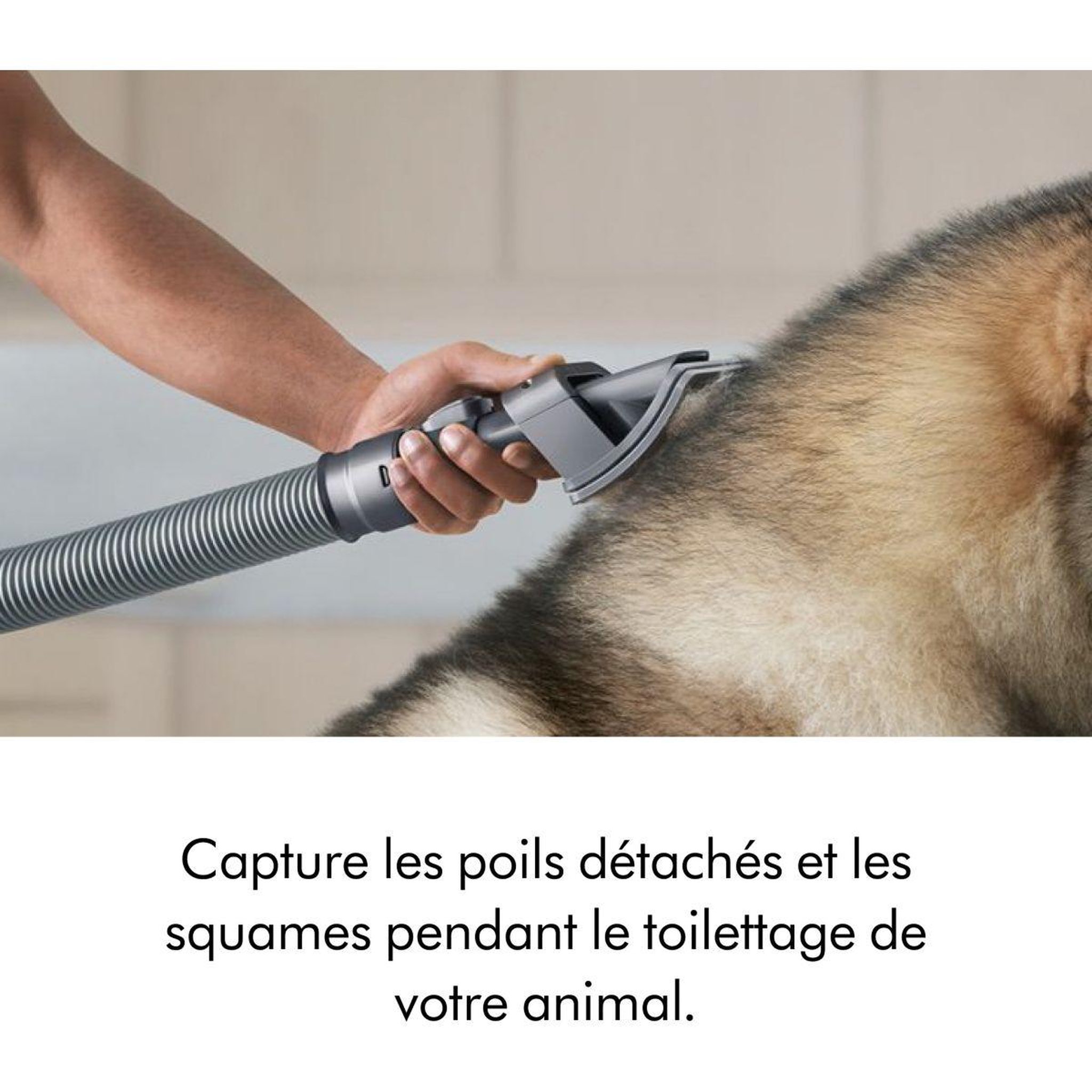 Voir la diapositive 2 : Dyson Kit Animaux brosse auto-démêlante poils V8 V10 V11 V15