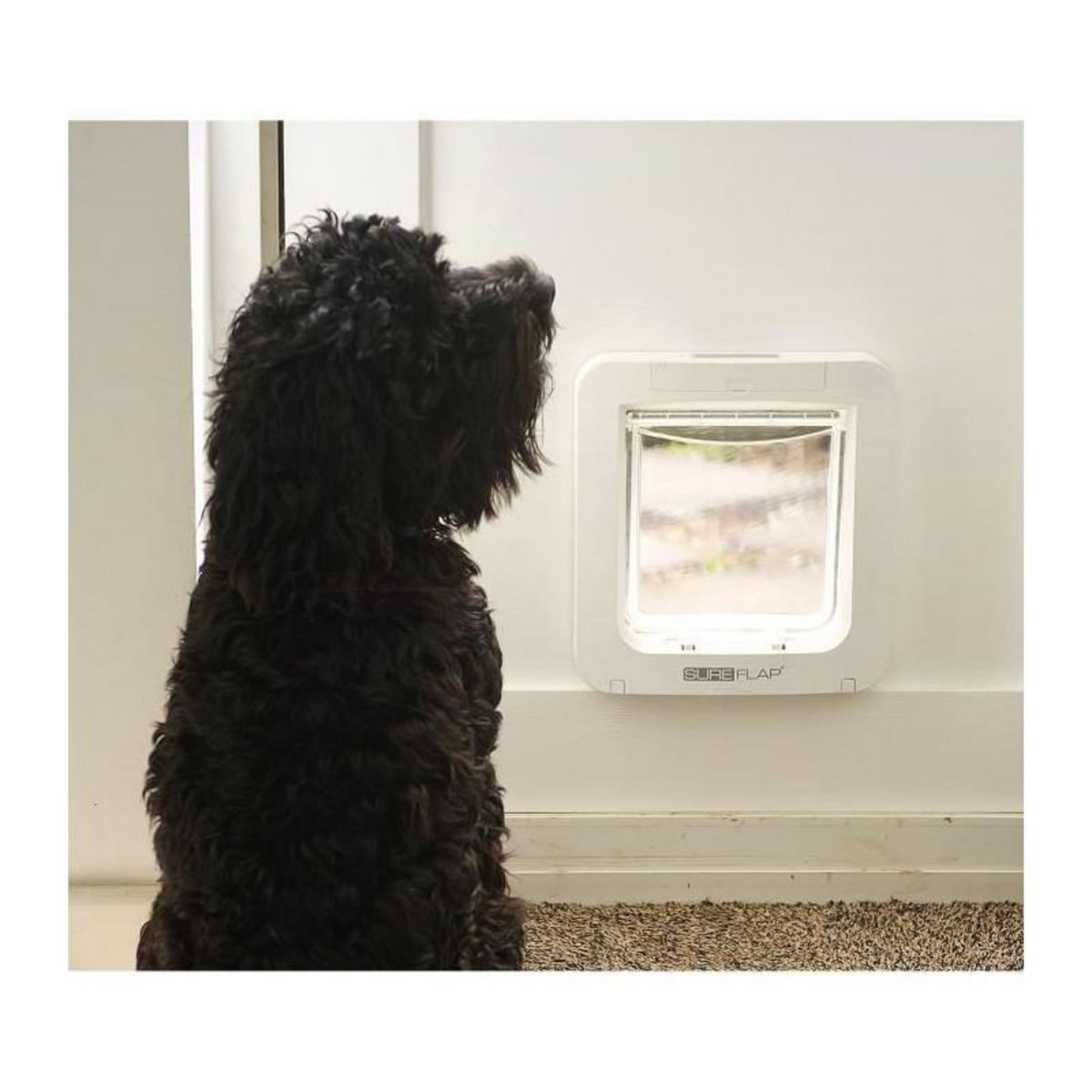 GENERIQUE SUREFLAP Grande chatiere a puce electronique blanc