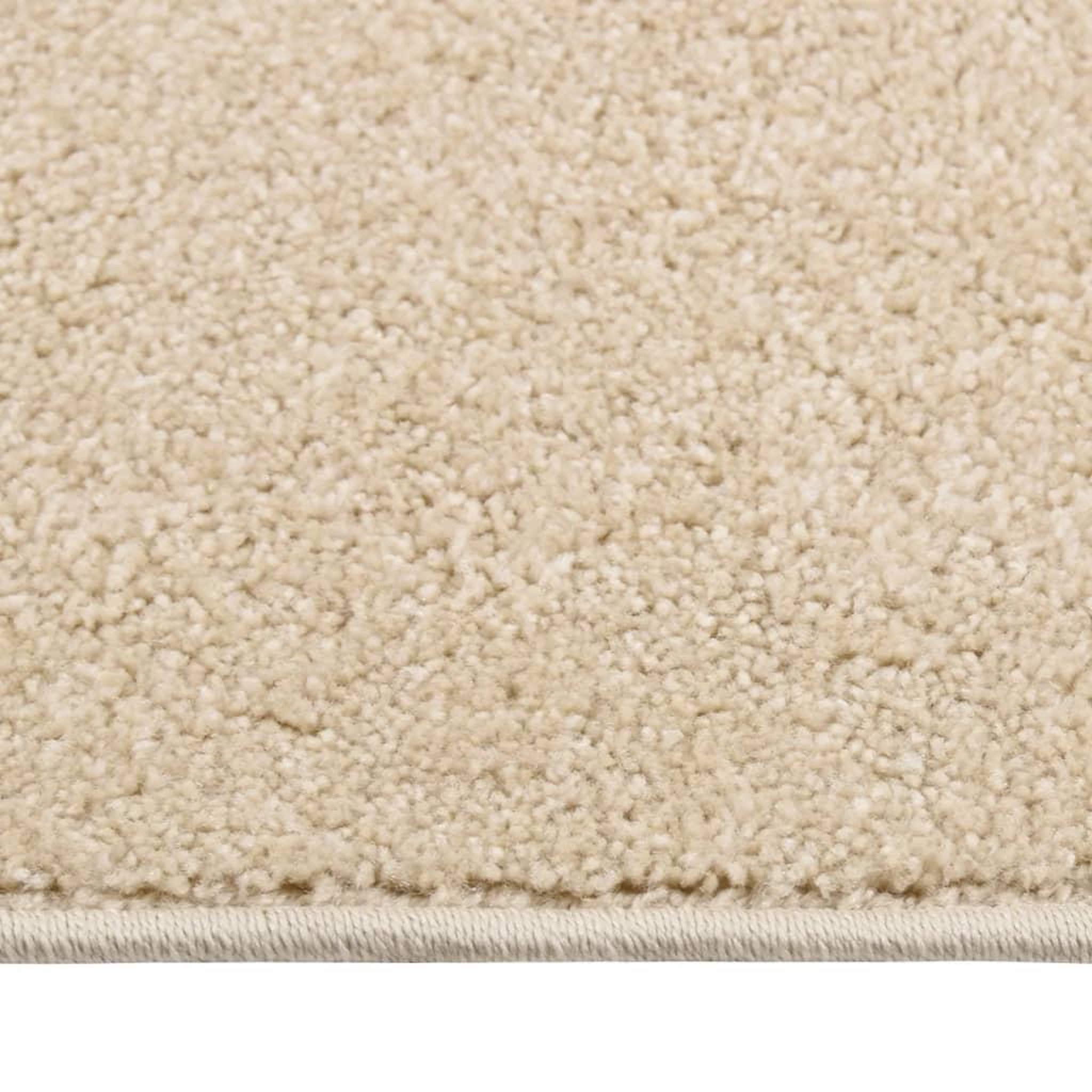 Voir la diapositive 3 : VIDAXL Tapis a poils courts 80x150 cm Beige