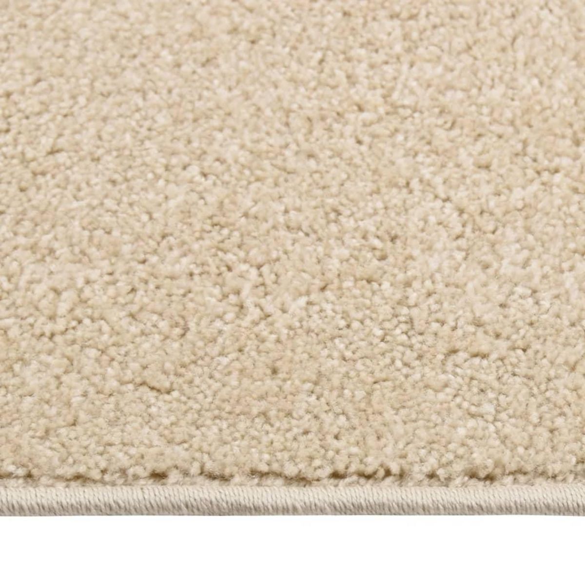 VIDAXL Tapis a poils courts 80x150 cm Beige