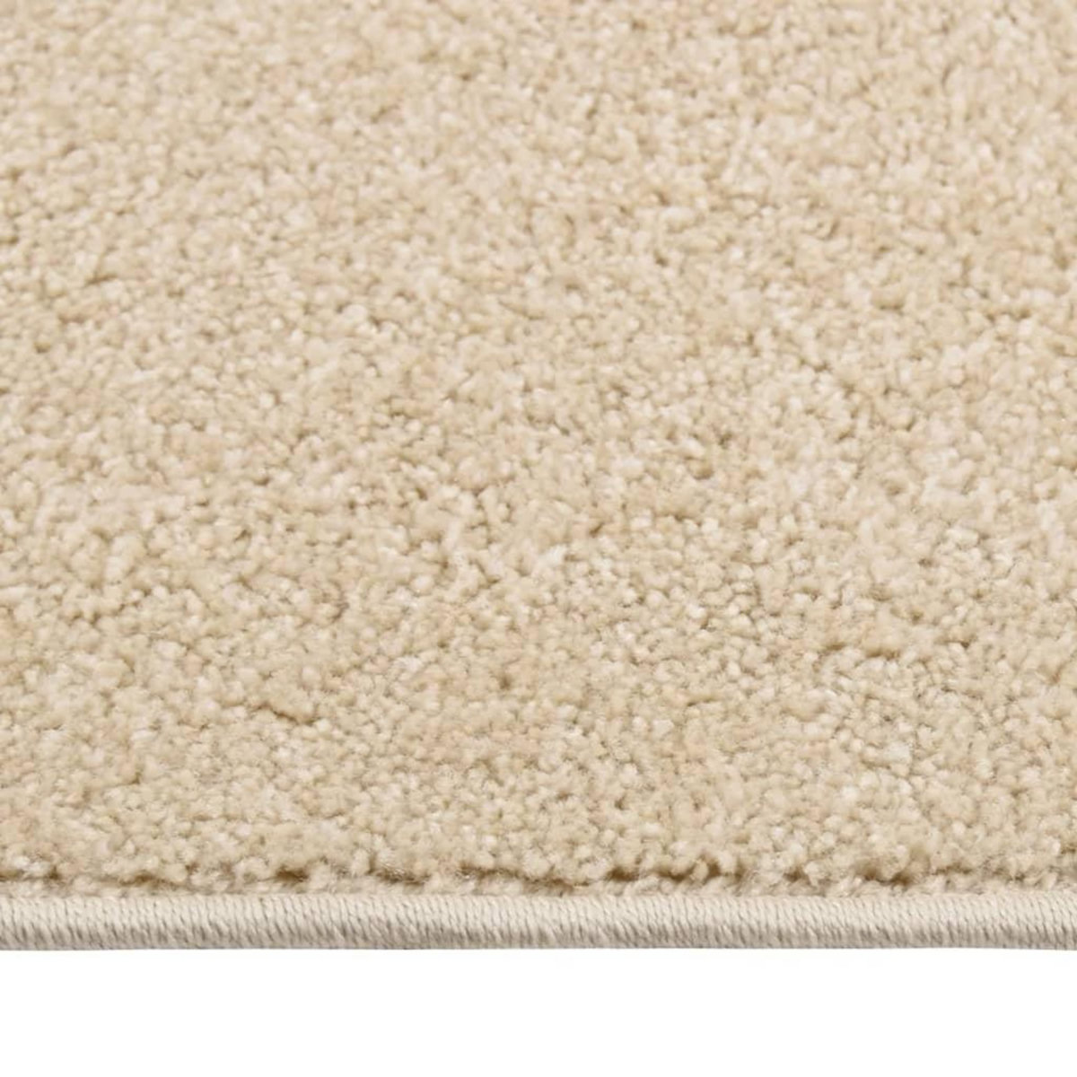 VIDAXL Tapis a poils courts 80x150 cm Beige