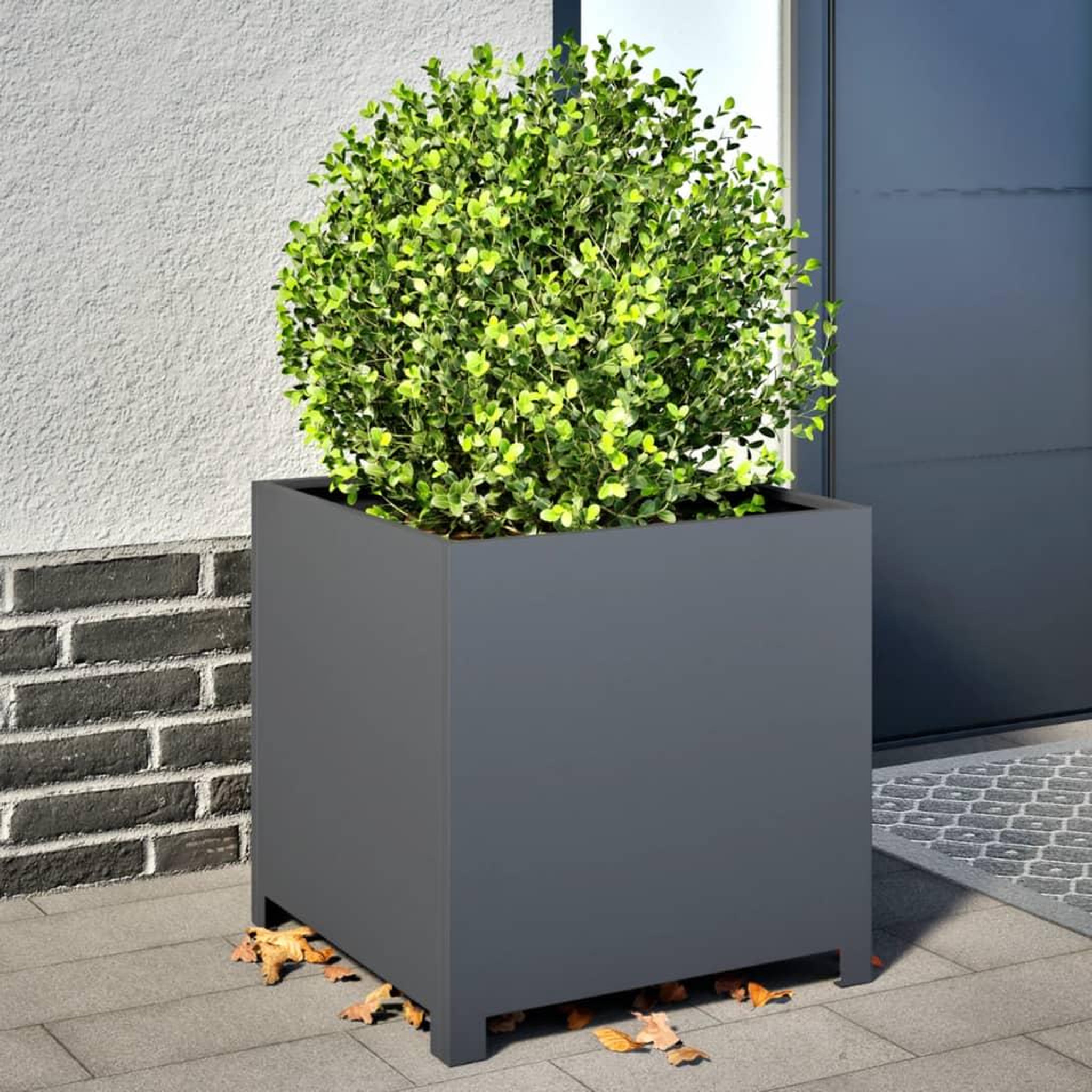 VIDAXL Jardiniere anthracite 50x50x50 cm acier