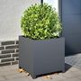 Voir la diapositive 1 : VIDAXL Jardiniere anthracite 50x50x50 cm acier