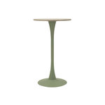 Paris Prix Table de Bar Ronde  Alaska  106cm Vert