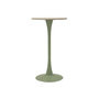Voir la diapositive 1 : Paris Prix Table de Bar Ronde  Alaska  106cm Vert