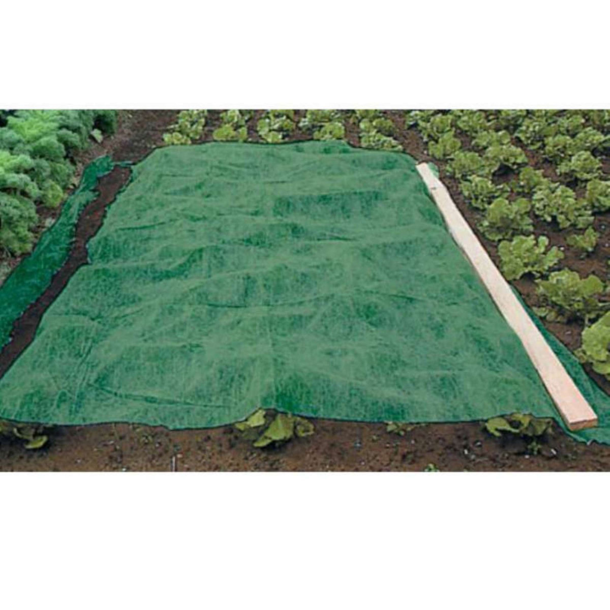  Voile d'hivernage vert 90g-m2 1 x 25m