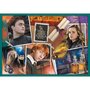 Trefl Puzzles de 20 à 48 pièces : 10 puzzles : Dans le monde de Harry Potter