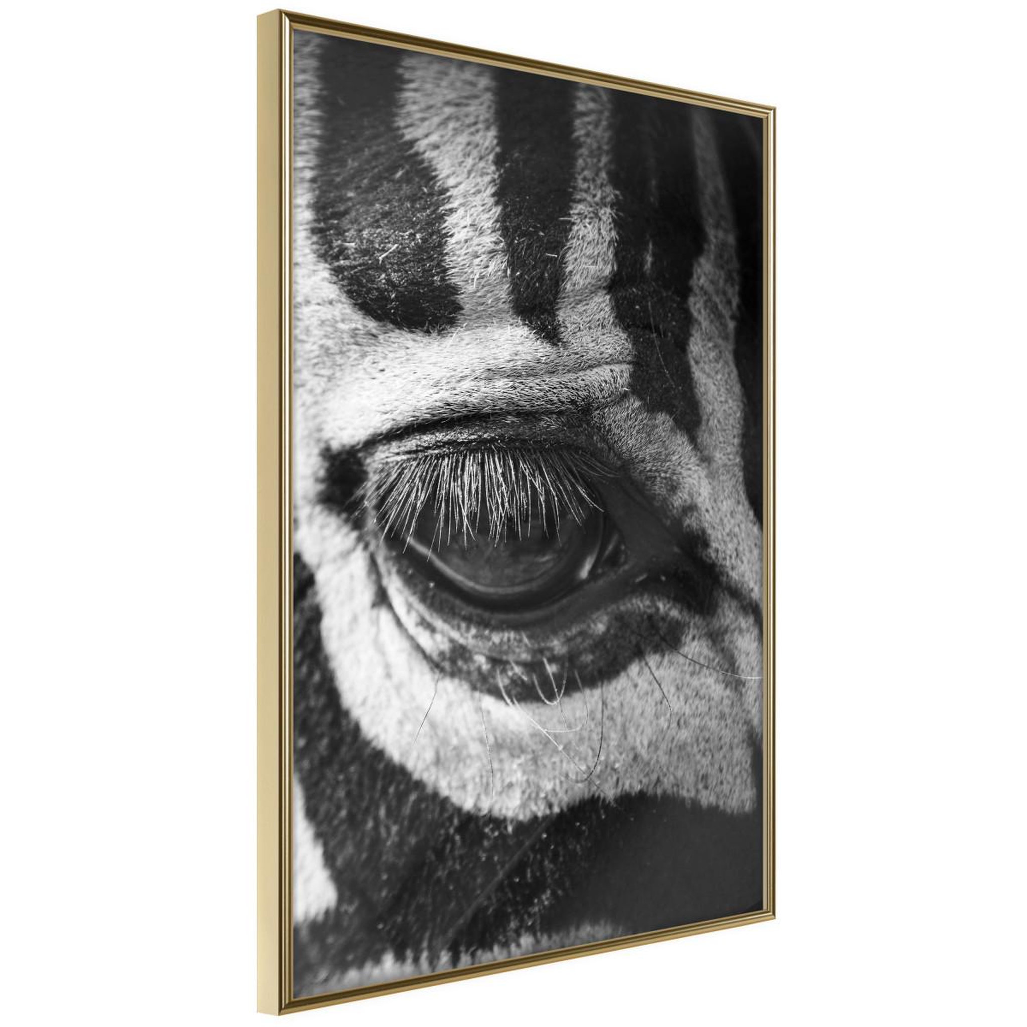 Voir la diapositive 1 : Paris Prix Affiche Murale Encadrée  Zebra Is Watching You